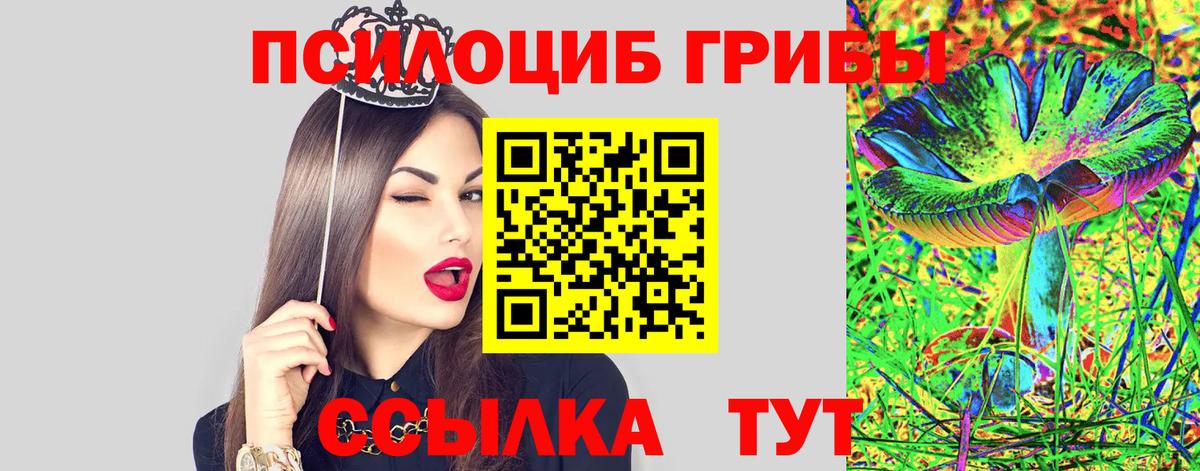 Губаха  Галлюциногенные грибы GOLDEN TEACHER  Вход с VPN 